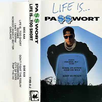 Picture for song 'Seit Ewigkeiten ft. AKL (1988 Too Short Remix)' by artist 'PASSWORT 13-8'