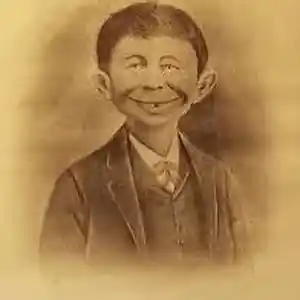 Picture for song 'Alfred E. Lone' by artist 'paul gorman and the hypnotist collectors'