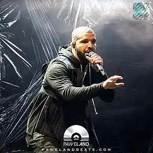Picture for song 'BOSS - (Bouncy Trap Beat, Drake Type Beat)' by artist 'Paweland Beats'