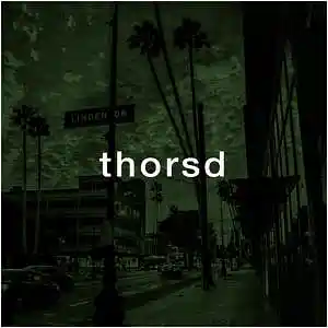 Picture for song 'Thorsd (Boom Bap x Sad)' by artist 'Puls Ever'