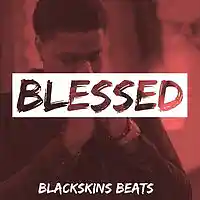 Picture for song 'Blackskins Beats - Blessed' by artist 'Blackskins Beats'