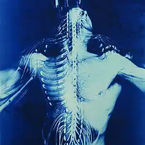 Picture for song 'LIFE' by artist 'DAN MVSON'