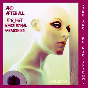 Picture for song 'I Want to Spend a Night with Kim Wilde' by artist 'SANE AND THE MAD SHADOWS'