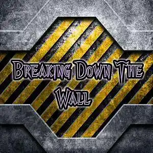 Picture for song 'Break Down The Wall' by artist 'Swampman And The Machine'