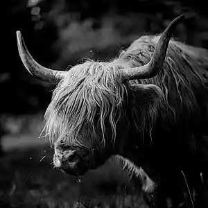 Picture for song 'MINOTAUR' by artist 'ThatsMaddison'