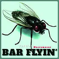 Picture for song 'Bar Flyin' by artist 'Turtle Necromancer'