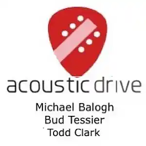 Picture for song 'Comfortably Numb' by artist 'Acoustic Drive'