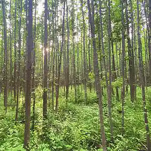 Picture for song 'you beautiful' by artist 'Jeffrey Aldridge'