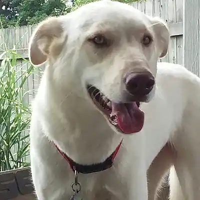 Picture for song 'Mixdown B min' by artist 'Christopher Rush'