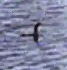 Picture for song 'from whence it came' by artist 'Ink Brethren'