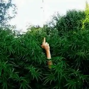 Picture for song 'go away' by artist 'mopanbeats'