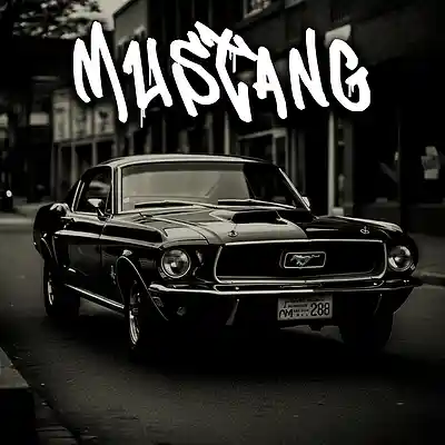 Picture for song 'BEAT RAP BOOM BAP "MUSTANG" HIP HOP' by artist 'Mounstro Beats'
