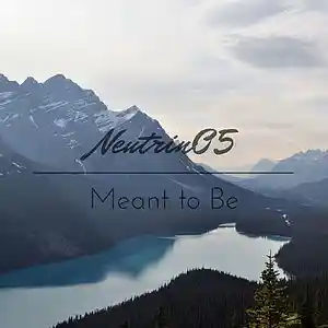 Picture for song 'Meant to Be' by artist 'Neutrin05'