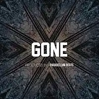 Picture for song 'Gone' by artist 'Parabellum Beats'