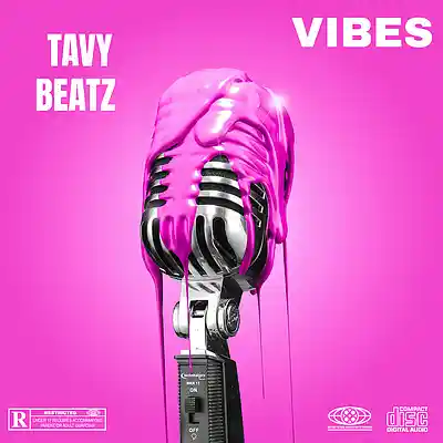 Picture for song 'Vides' by artist 'TAVY BEATZ'