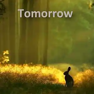 Picture for song 'Tomorrow' by artist 'Terry Ward'