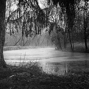 Picture for song 'All Along The Watchtower' by artist 'Tom Bower'