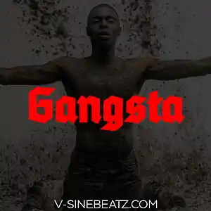 Picture for song 'Gangsta (Buy 1 Get 1-3 FREE)' by artist 'V-Sine Beatz'
