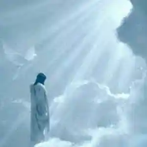 Picture for song 'GOD LEVELS' by artist 'Autobeats'