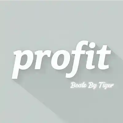 Picture for song 'Profit' by artist 'Beats By Tiger'