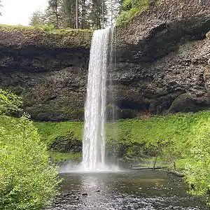 Picture for song 'Amused (Instrumental)' by artist 'Denzlo'