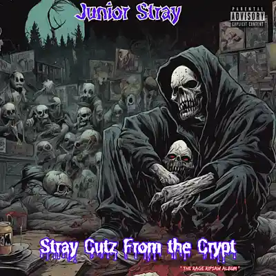 Picture for song 'just-cant-stop' by artist 'Junior Stray'