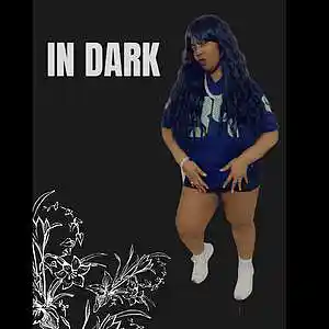 Picture for song 'In The Dark (P.T.1) PARENTS GUIDANCE' by artist 'King Dill'