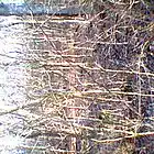 Picture for song 'oscal sato' by artist 'labbor'