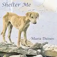 Picture for song 'Chained To You' by artist 'Maria Daines'