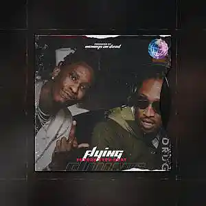 Picture for song '"Flying" Future Type Beat' by artist 'MoneysOnDead'