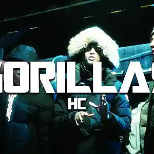 Picture for song 'GORILLAS' by artist 'prodnotguilty'