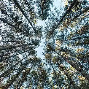 Picture for song 'nitrogen' by artist 'ranxid'