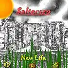 Picture for song 'Tell Me What You're Lookin For' by artist 'Salterszo'