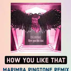 Picture for song 'How You Like That - BlackPink (Marimba Remix)' by artist 'SonneriePortable'
