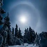Picture for song 'WINTERTIME' by artist 'tamsnumber4'