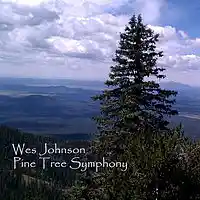 Picture for song 'Pine Tree Symphony' by artist 'Wes Johnson'