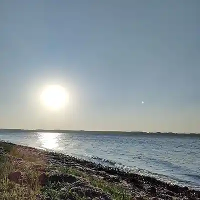 Picture for song '20240725_172017_po_li_tik_fs' by artist '786 scheint-Al'lahs Bande'