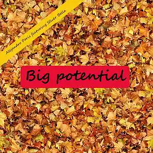 Picture for song 'Big potential' by artist 'Alejandro Paris (IT)'