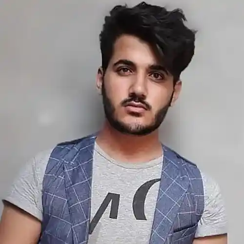 Artist picture