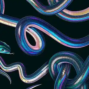 Picture for song 'HISS Hyperpop type beat Yeat type beat' by artist 'FRANK BT'