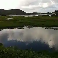 Picture for song 'Wandering (Improv)' by artist 'Matt Cadirao'