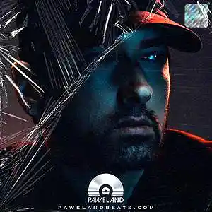 Picture for song 'STREET - (Eminem Type Beat, Freestyle Beat)' by artist 'Paweland Beats'