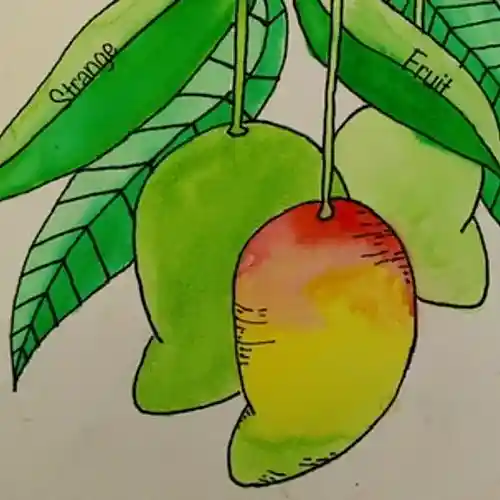 Picture for song 'Pizzicato Beat' by artist 'Strange Fruit'