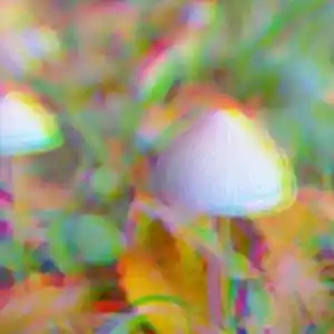 Picture for song 'Psychedelic Shrooms by Supernaturalinstrumentals (' by artist 'ProdBy.Pikachu'