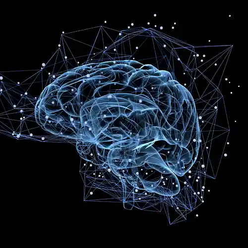 Picture for song 'The Brain Song For BDNF & Memory (Audio Frequency' by artist 'The Brain Song'