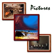 Picture for song 'Savannah Crossing' by artist 'Nori Ubukata'