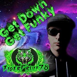 Picture for song 'I Love You Anyway' by artist 'TigerFruit78 Studios'