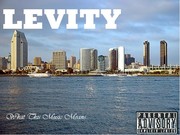 Picture for song 'What This Muzik Means' by artist 'Levity Music'