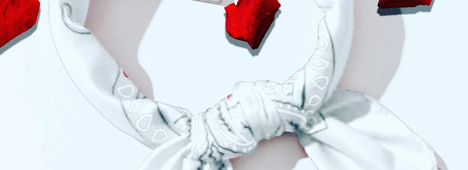 cover pic