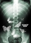 Picture for song '(New) U Give Me Butterflies' by artist '14 YEAR OLD BEAT MAKER PRODUCER'